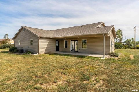 Tiny photo for 12852 Quarter Horse Road, Marion, IL 62959 (MLS # QC4266930)