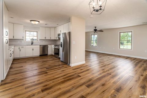 Tiny photo for 12852 Quarter Horse Road, Marion, IL 62959 (MLS # QC4266930)