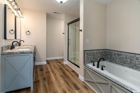 Tiny photo for 12852 Quarter Horse Road, Marion, IL 62959 (MLS # QC4266930)