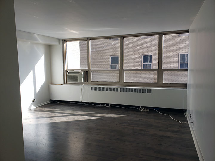 3950 N LAKE SHORE Drive 1209