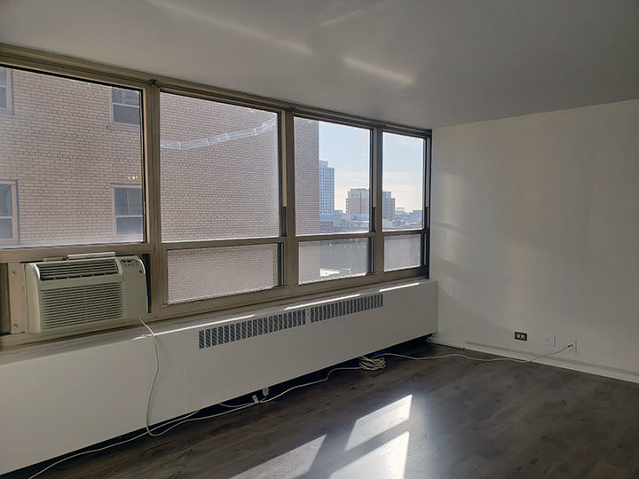 3950 N LAKE SHORE Drive 1209