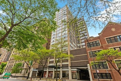 3110 N Sheridan Road 1708 Chicago IL 60657