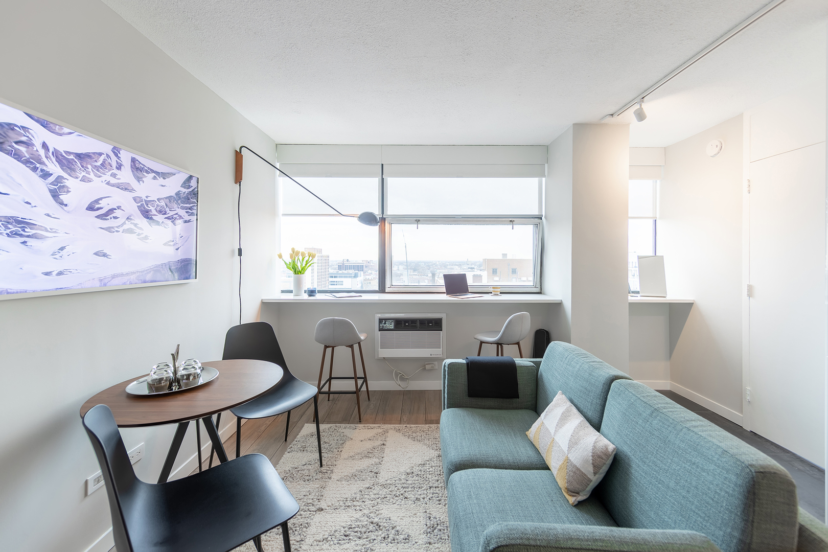 3110 N Sheridan Road 1708