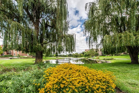 Tiny photo for 700 Wellington Avenue #409, Elk Grove Village, IL 60007 (MLS # 12730097)