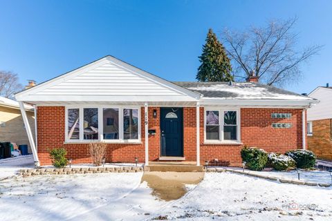 119 S Pine Street Mount Prospect IL 60056