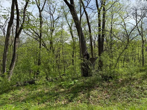 Tiny photo for 12 Navajo Court, Putnam, IL 61560 (MLS # 12633707)