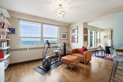 Tiny photo for 3180 N Lake Shore Drive #13C, Chicago, IL 60657 (MLS # 12473611)