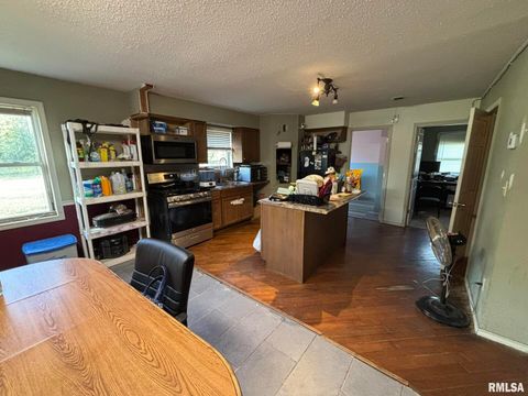 Tiny photo for 3152 Hotze Road, Salem, IL 62881 (MLS # EB460203)