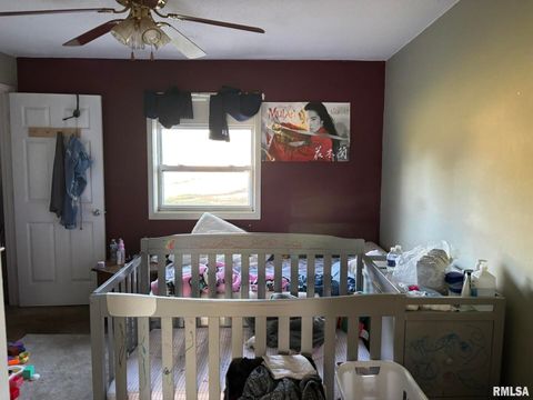 Tiny photo for 3152 Hotze Road, Salem, IL 62881 (MLS # EB460203)