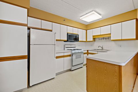 Tiny photo for 6755 N Milwaukee Avenue #303, Niles, IL 60714 (MLS # 12581386)
