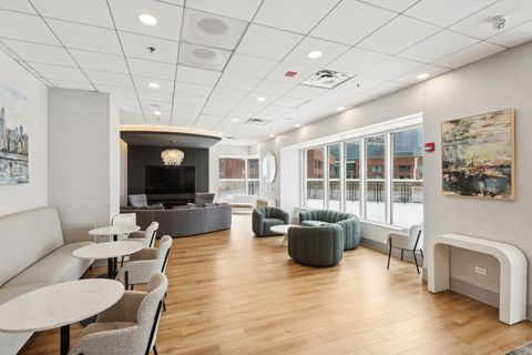 Tiny photo for Chicago, IL 60611 (MLS # 12602220)