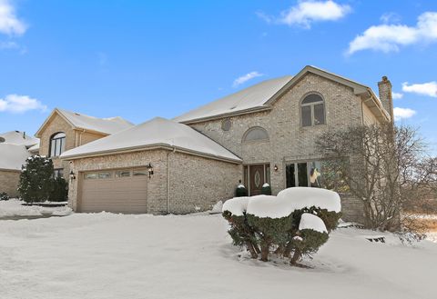Photo of 8942 Birch Lane, Hickory Hills, IL 60457 (MLS # 12531291)