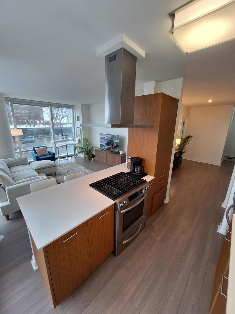 500 N Lake Shore Drive 411