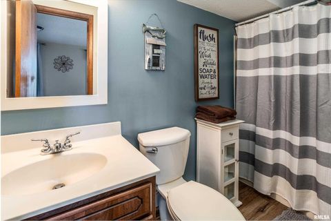 Tiny photo for 135 OAK Circle, Goreville, IL 62939 (MLS # QC4268308)