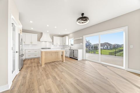 Tiny photo for 23070 Hankins Court, Frankfort, IL 60423 (MLS # 12428287)