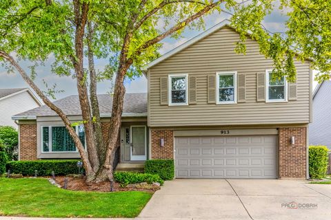 913 Hobson Drive Buffalo Grove IL 60089