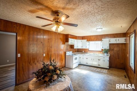 Tiny photo for 603 S MAPLE Street, West Frankfort, IL 62896 (MLS # QC4268649)