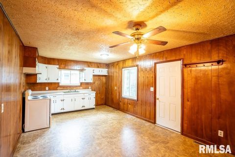 Tiny photo for 603 S MAPLE Street, West Frankfort, IL 62896 (MLS # QC4268649)