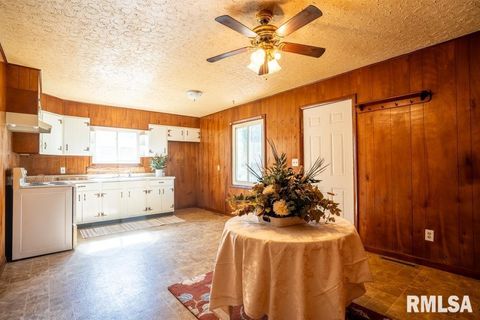 Tiny photo for 603 S MAPLE Street, West Frankfort, IL 62896 (MLS # QC4268649)