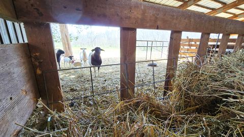 Tiny photo for 15019 N Illnois Hwy 37, Mt Vernon, IL 62864 (MLS # 12583279)