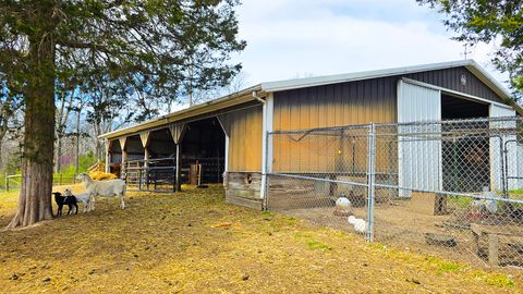 Tiny photo for 15019 N Illnois Hwy 37, Mt Vernon, IL 62864 (MLS # 12583279)