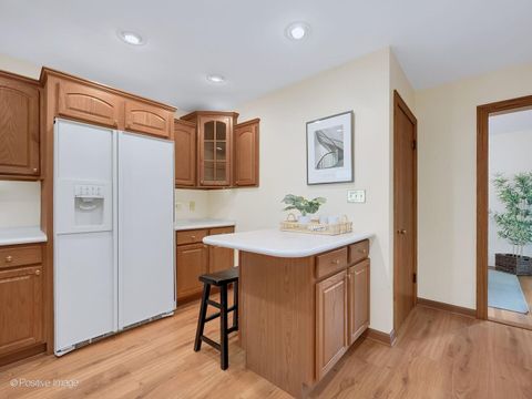 Tiny photo for 613 N Spring Avenue, La Grange Park, IL 60526 (MLS # 12626026)