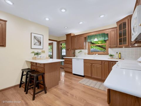 Tiny photo for 613 N Spring Avenue, La Grange Park, IL 60526 (MLS # 12626026)