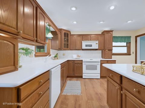Tiny photo for 613 N Spring Avenue, La Grange Park, IL 60526 (MLS # 12626026)