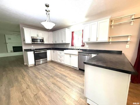 Tiny photo for 3005 W WOODLAWN Place, Marion, IL 62959 (MLS # EB458077)