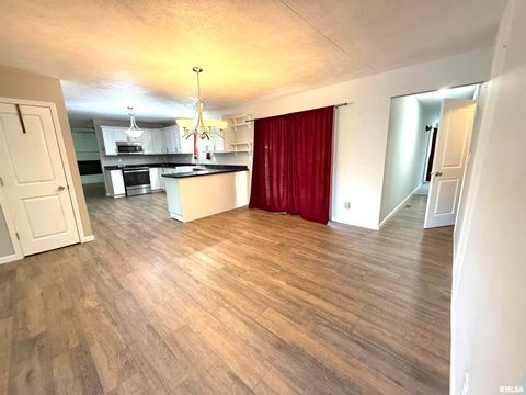 Tiny photo for 3005 W WOODLAWN Place, Marion, IL 62959 (MLS # EB458077)