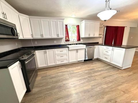 Tiny photo for 3005 W WOODLAWN Place, Marion, IL 62959 (MLS # EB458077)