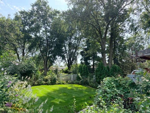 Tiny photo for 828 Regent Street, New Lenox, IL 60451 (MLS # 12748614)