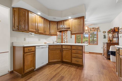 Tiny photo for 217 HANCOCK Drive, Orangeville, IL 61060 (MLS # 12394918)