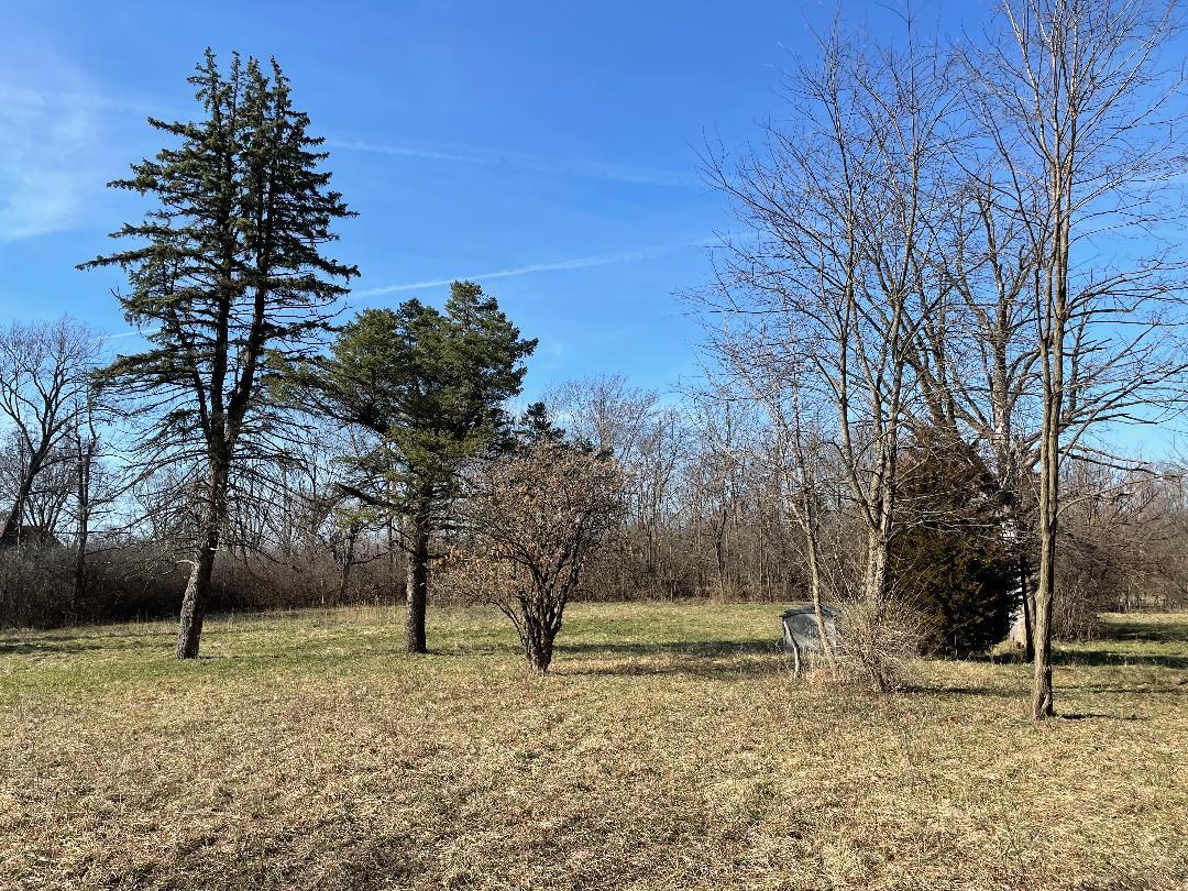 1369 N Cedar Road