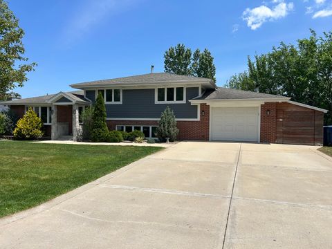 8519 S 82nd Court Hickory Hills IL 60457