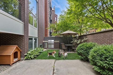Tiny photo for 2323 N LEAVITT Street #101, Chicago, IL 60647 (MLS # 12569128)
