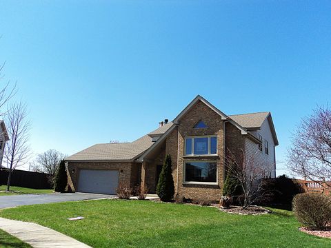 2985 ROYAL Court New Lenox IL 60451