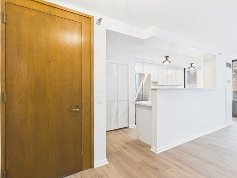 Tiny photo for 1230 N State Parkway #18D, Chicago, IL 60610 (MLS # 12766040)