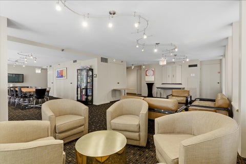 Tiny photo for 1230 N State Parkway #18D, Chicago, IL 60610 (MLS # 12766040)