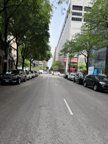 111 E chestnut Street 2A-6