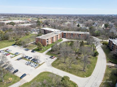 Tiny photo for 1615 E Central Road #122C, Arlington Heights, IL 60005 (MLS # 12601991)