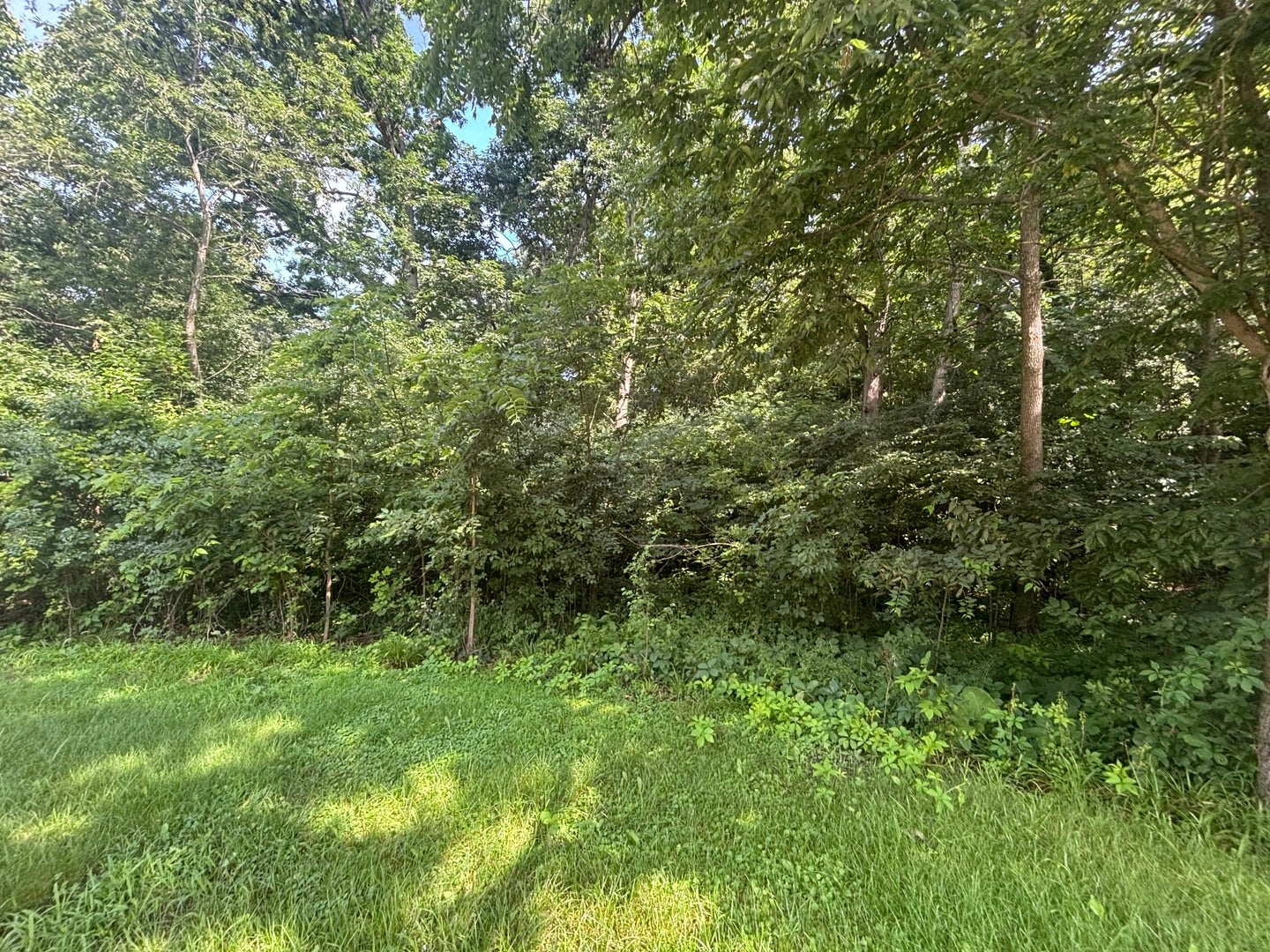 1182 Deerpath Court