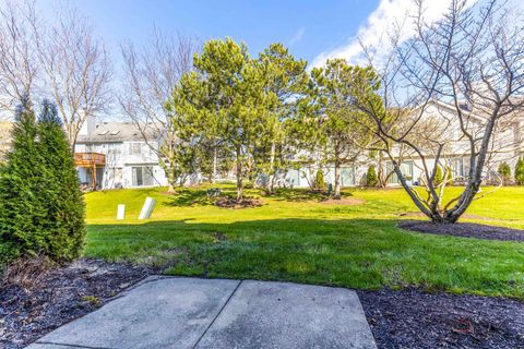 Tiny photo for 263 Camel Bend Court #0, Schaumburg, IL 60194 (MLS # 12612111)