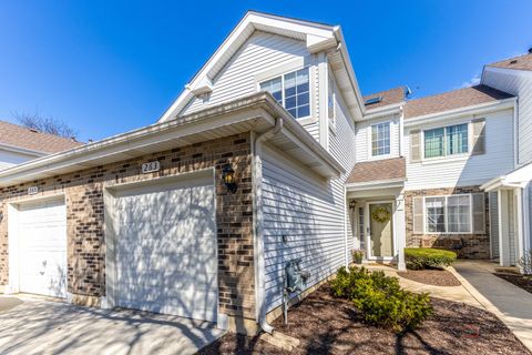Tiny photo for 263 Camel Bend Court #0, Schaumburg, IL 60194 (MLS # 12612111)