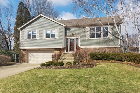 15 Newtown Court E Buffalo Grove IL 60089