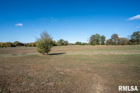 Tiny photo for 13261 CASEY Road, Marion, IL 62959 (MLS # QC4268911)