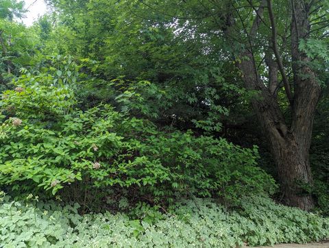 Tiny photo for 915 Willow Lane, Sleepy Hollow, IL 60118 (MLS # 12587564)