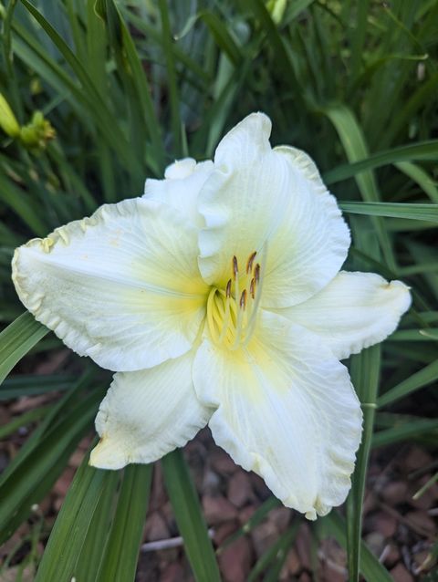 Tiny photo for 915 Willow Lane, Sleepy Hollow, IL 60118 (MLS # 12587564)