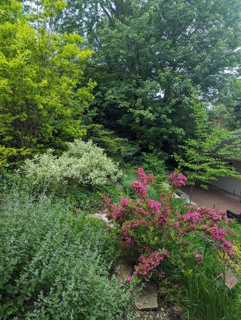 Tiny photo for 915 Willow Lane, Sleepy Hollow, IL 60118 (MLS # 12587564)