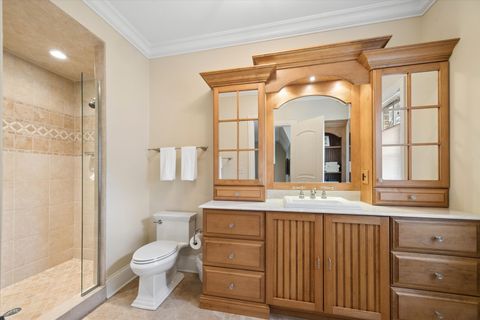 Tiny photo for Hinsdale, IL 60521 (MLS # 12618759)